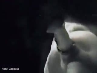 Cam Dark Seduce Woman Sucking Dog