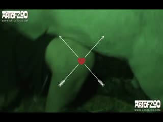 Cam dog fuck girl