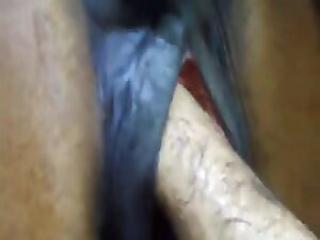 Free porn animal video featuring a brutal animal gape sex xxx zoo
