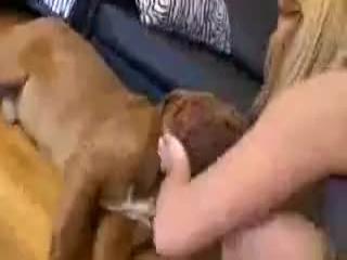 Sexy chick f*cks a zoo animal with all her heart. Download free animal sex videos from the zoo