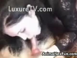 Brown-haired adolescent of 18 experimenting with Zoophilia animal sex